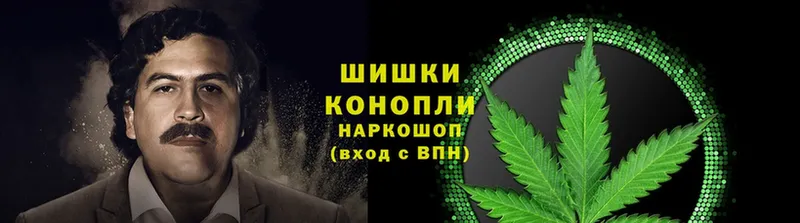 OMG вход  Подольск  Канабис OG Kush 